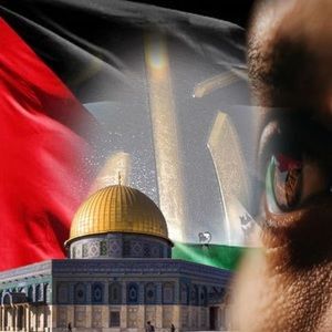 Meet your Posher, Muhsin